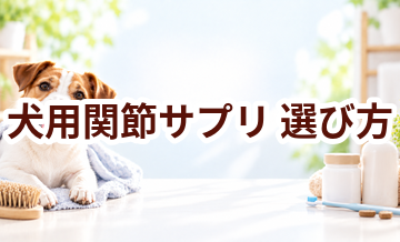犬用関節サプリの選び方｜成分・価格・続けやすさを比較