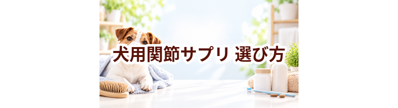 犬用関節サプリの選び方｜成分・価格・続けやすさを比較