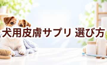 犬用皮膚サプリの選び方｜成分・価格・続けやすさを比較