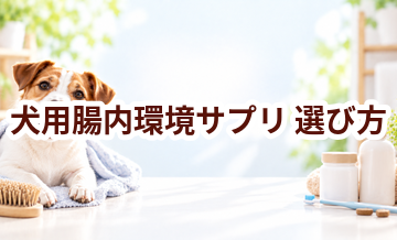 犬用腸内環境サプリの選び方｜成分・価格・続けやすさを比較