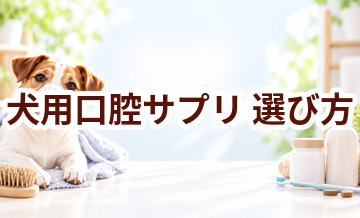 犬用口腔サプリの選び方｜成分・価格・続けやすさを比較