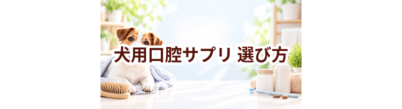 犬用口腔サプリの選び方｜成分・価格・続けやすさを比較