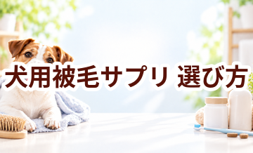 犬用被毛サプリの選び方｜成分・価格・続けやすさを比較