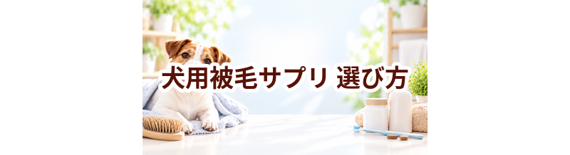 犬用被毛サプリの選び方｜成分・価格・続けやすさを比較