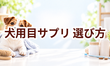 犬用目サプリの選び方｜成分・価格・続けやすさを比較