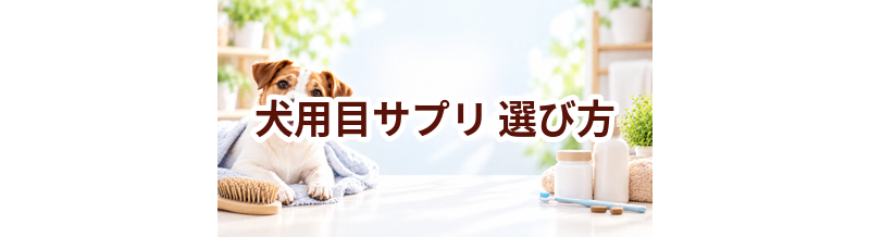 犬用目サプリの選び方｜成分・価格・続けやすさを比較