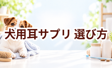 犬用耳サプリの選び方｜成分・価格・続けやすさを比較