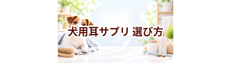 犬用耳サプリの選び方｜成分・価格・続けやすさを比較