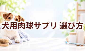 犬用肉球サプリの選び方｜成分・価格・続けやすさを比較