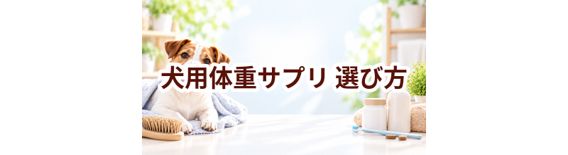 犬用体重サプリの選び方｜成分・価格・続けやすさを比較