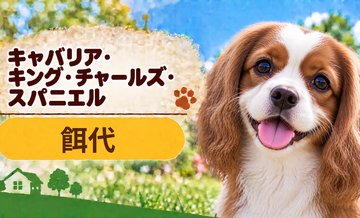 キャバリアの餌代は月いくら？体重からドッグフード代をシミュレーション