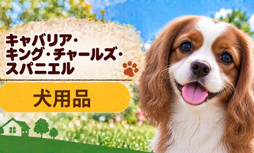 キャバリア向け犬用品の選び方｜ケージ・ベッド・ハーネスをまとめて確認