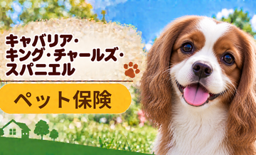 キャバリアのペット保険料はいくら？加入前に確認したい補償と費用