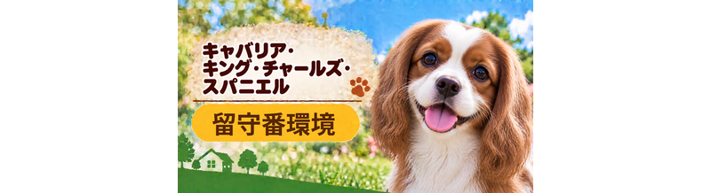 キャバリアの留守番環境を整える｜安全対策と便利グッズ