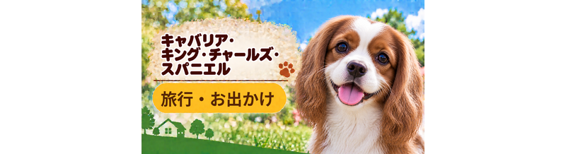キャバリアと旅行するときの持ち物｜移動・宿泊で役立つ犬用品