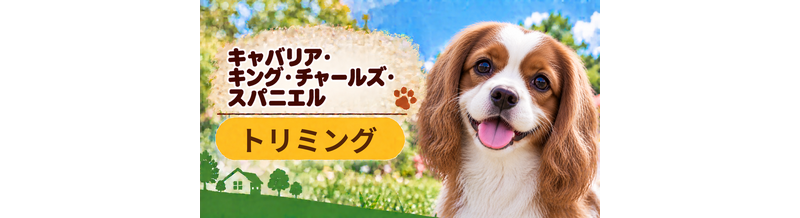キャバリアのトリミング代はいくら？頻度と年間費用を計算