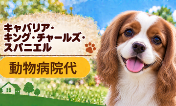 キャバリアの動物病院代は年間いくら？健康診断・予防・急な通院に備える
