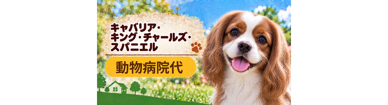 キャバリアの動物病院代は年間いくら？健康診断・予防・急な通院に備える
