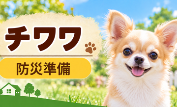チワワの防災準備｜避難時に必要な用品と持ち出しリスト