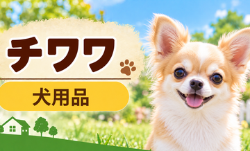 チワワ向け犬用品の選び方｜ケージ・ベッド・ハーネスをまとめて確認