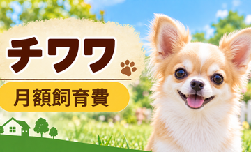 チワワの飼育費は月いくら？食費・日用品・保険料を家計シミュレーション
