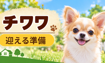 チワワを迎えるときに必要なもの｜サイズ選びと初期費用