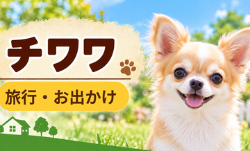 チワワと旅行するときの持ち物｜移動・宿泊で役立つ犬用品