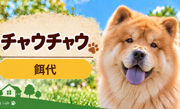 チャウチャウの餌代は月いくら？体重からドッグフード代をシミュレーション