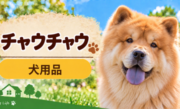チャウチャウ向け犬用品の選び方｜ケージ・ベッド・ハーネスをまとめて確認