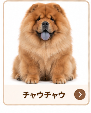 チャウチャウ