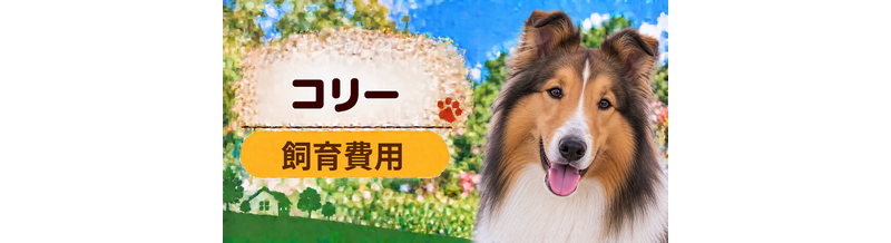 コリーを飼う費用はいくら？初期費用・年間費用・生涯費用を解説