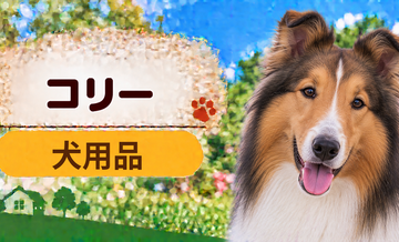コリー向け犬用品の選び方｜ケージ・ベッド・ハーネスをまとめて確認