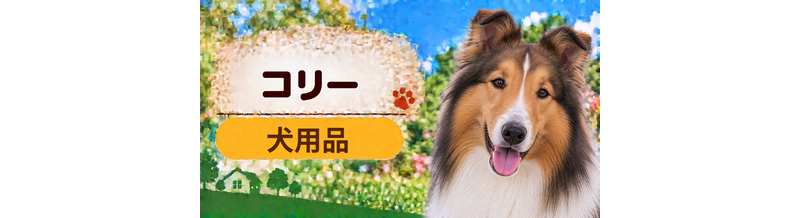 コリー向け犬用品の選び方｜ケージ・ベッド・ハーネスをまとめて確認