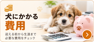 犬にかかる費用