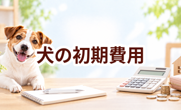 犬を飼う初期費用はいくら？最初に必要なものと予算をチェック