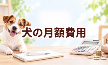 犬を飼う月々の費用はいくら？食費・医療費・日用品を家計目線で解説
