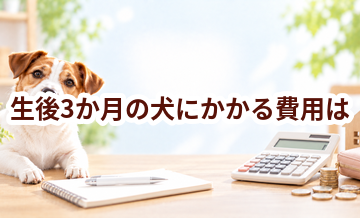 生後3か月の犬にかかる費用は？食事・医療・日用品をまとめて確認