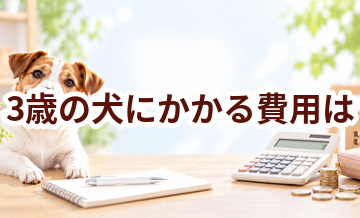 3歳の犬にかかる費用は？食事・医療・日用品をまとめて確認