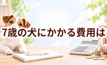 7歳の犬にかかる費用は？食事・医療・日用品をまとめて確認