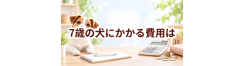 7歳の犬にかかる費用は？食事・医療・日用品をまとめて確認