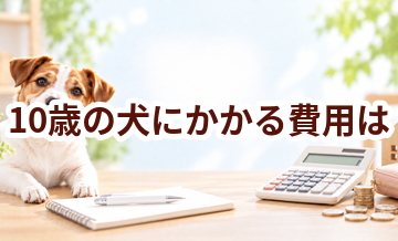 10歳の犬にかかる費用は？食事・医療・日用品をまとめて確認