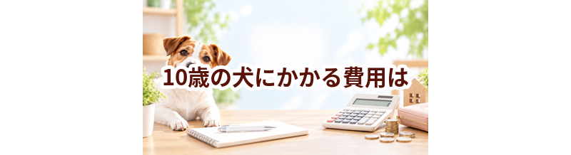 10歳の犬にかかる費用は？食事・医療・日用品をまとめて確認