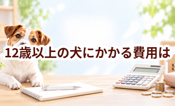 12歳以上の犬にかかる費用は？食事・医療・日用品をまとめて確認