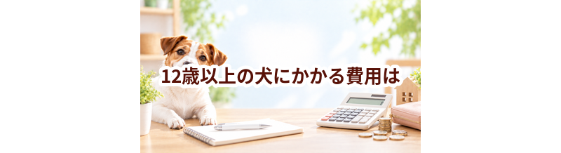 12歳以上の犬にかかる費用は？食事・医療・日用品をまとめて確認