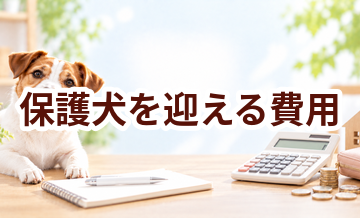 保護犬を迎える費用はいくら？準備品と毎月かかるお金を整理