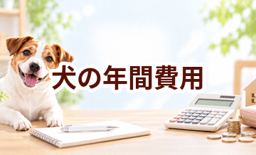 犬の年間費用はいくら？毎年かかる固定費と突然の出費を整理