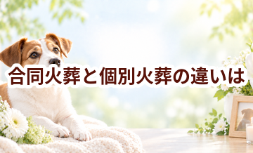 合同火葬と個別火葬の違いは？返骨・費用・供養方法で選ぶ