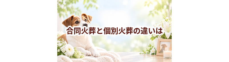 合同火葬と個別火葬の違いは？返骨・費用・供養方法で選ぶ