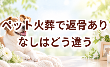 ペット火葬で返骨あり・なしはどう違う？後悔しない選び方
