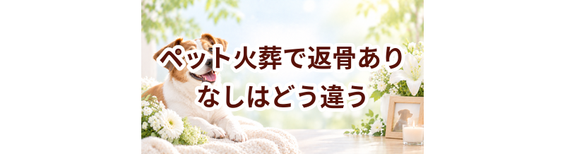 ペット火葬で返骨あり・なしはどう違う？後悔しない選び方